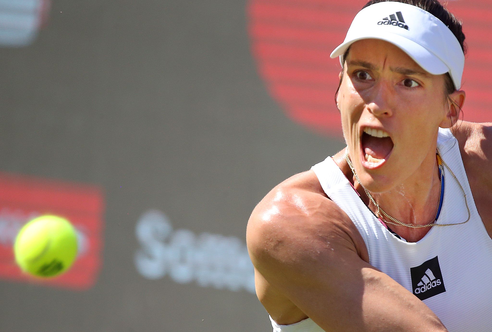 betting-reason-for-online-hate-against-tennis-stars-petkovic